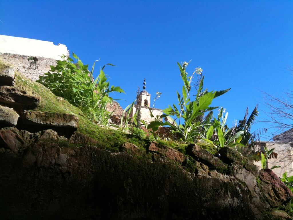 פס Riad Idrissy מראה חיצוני תמונה